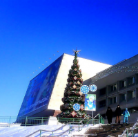 В префектуре прошло обсуждение подготовки Зеленограда к новогодним праздникам 